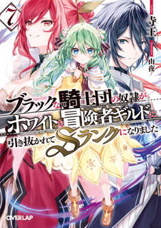 ブラックな騎士団の奴隷がホワイトな冒険者ギルドに引き抜かれてSランクになりました 7