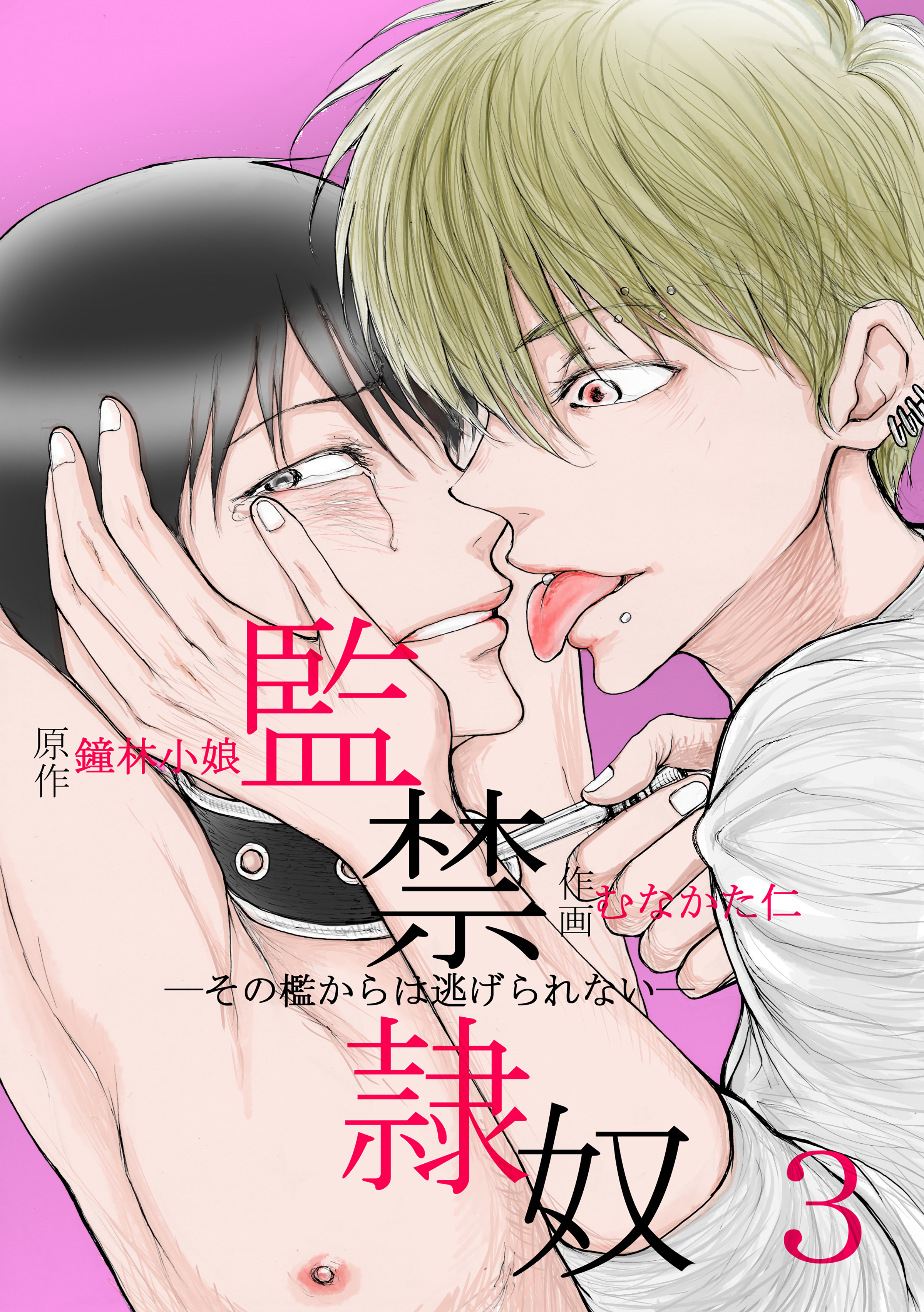 監禁隷奴─その檻からは逃げられない─