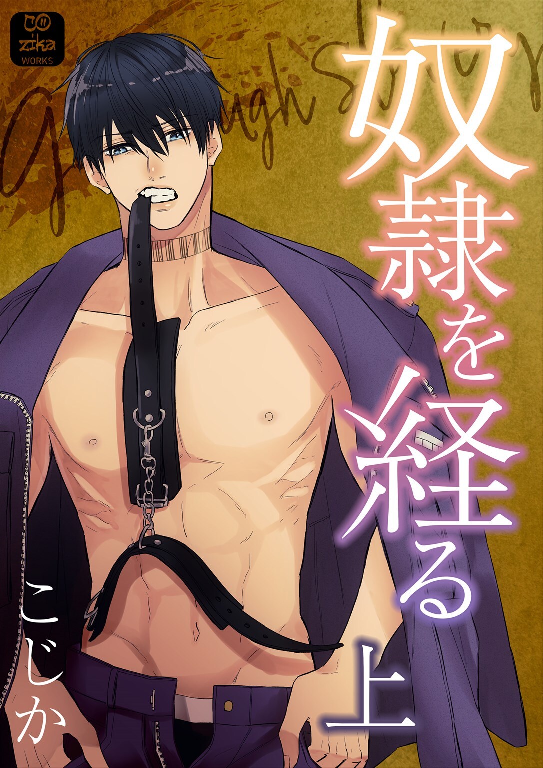 奴●を経る 【単行本】 上