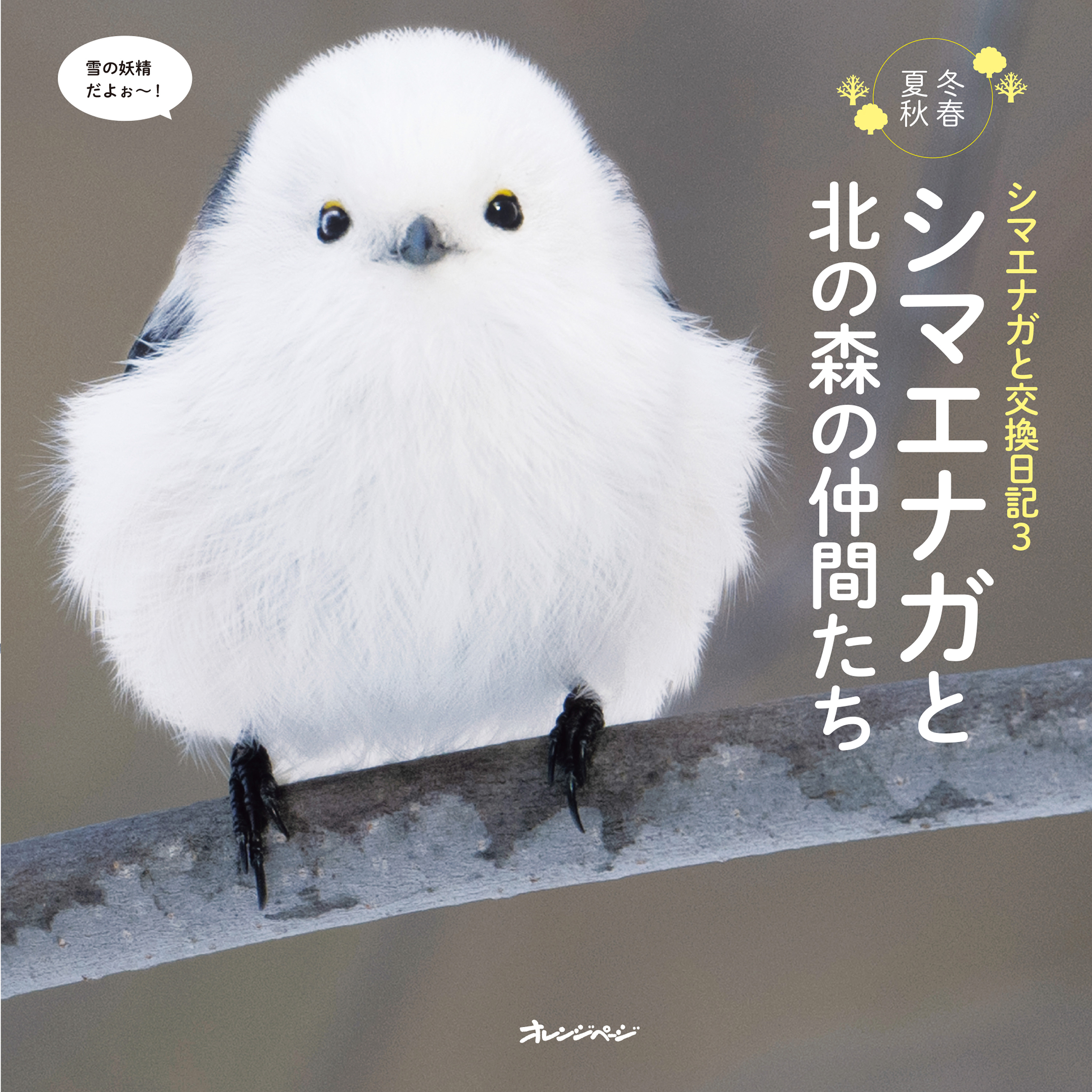 シマエナガと交換日記