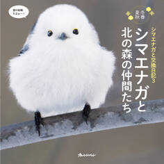 シマエナガと交換日記3 シマエナガと北の森の仲間たち