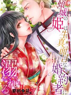傾城の姫は生真面目な婚約者に溺れる