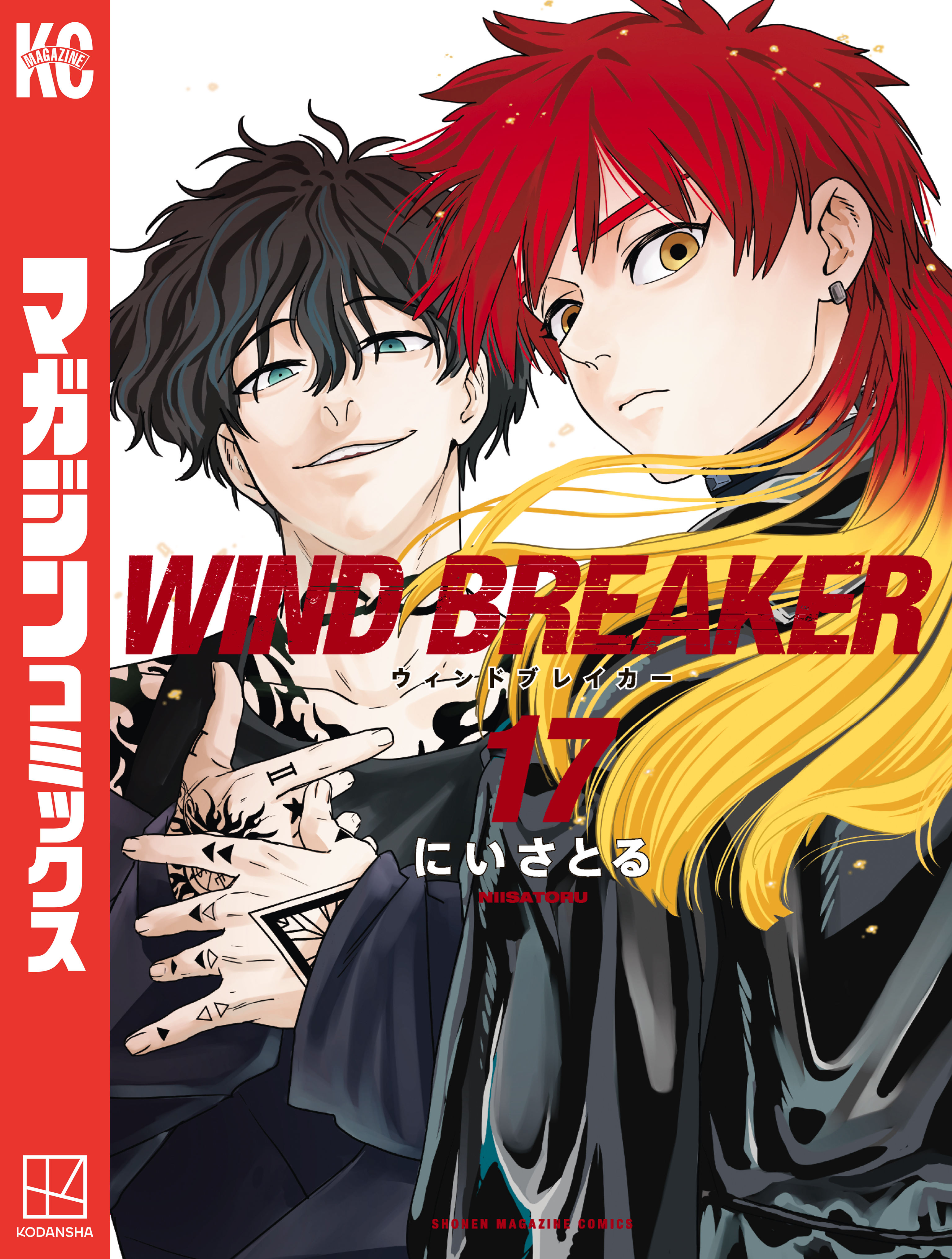 ＷＩＮＤ　ＢＲＥＡＫＥＲ（17）