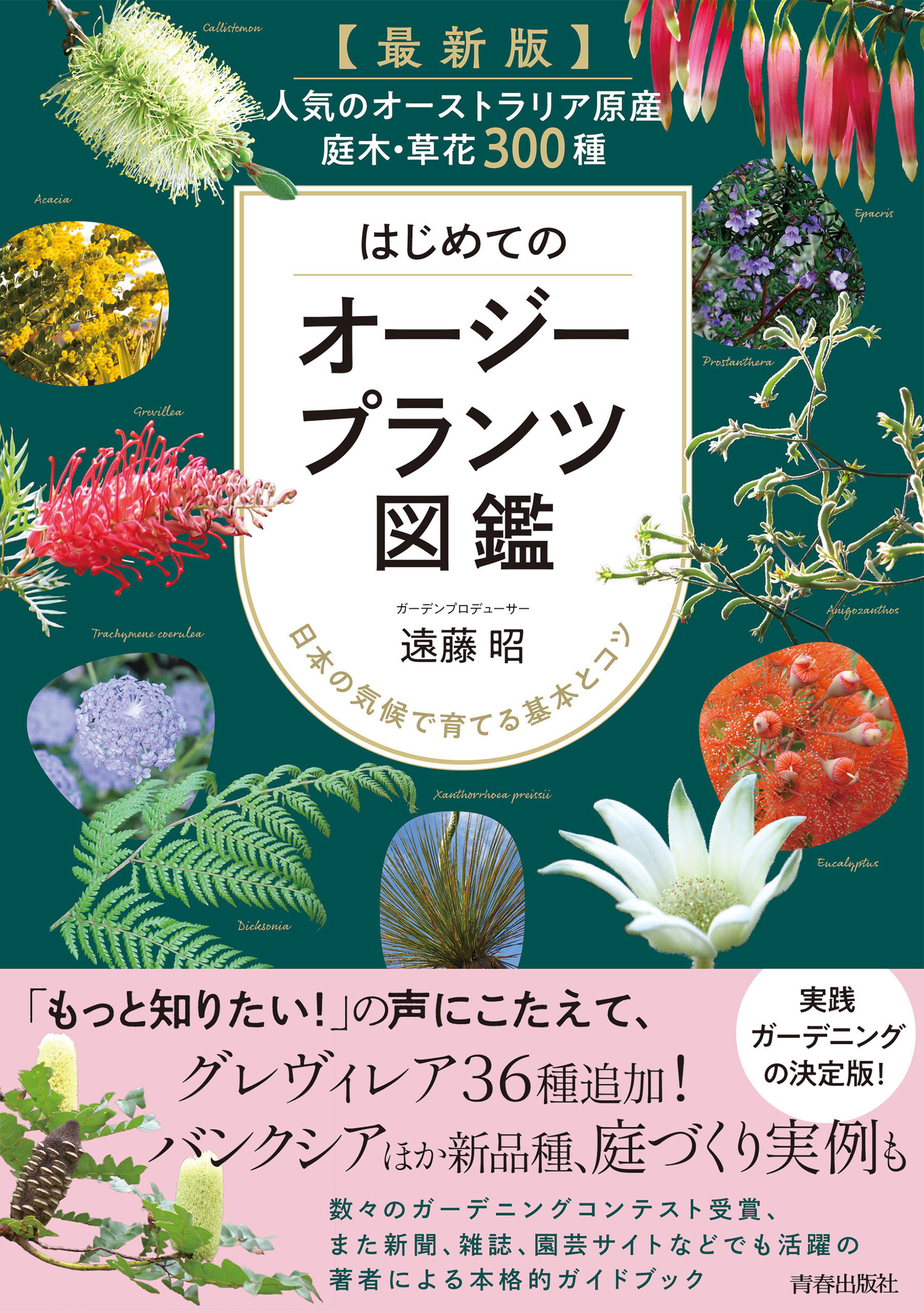 最新版　はじめてのオージープランツ図鑑