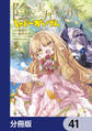 陰の実力者になりたくて! しゃどーがいでん【分冊版】 41