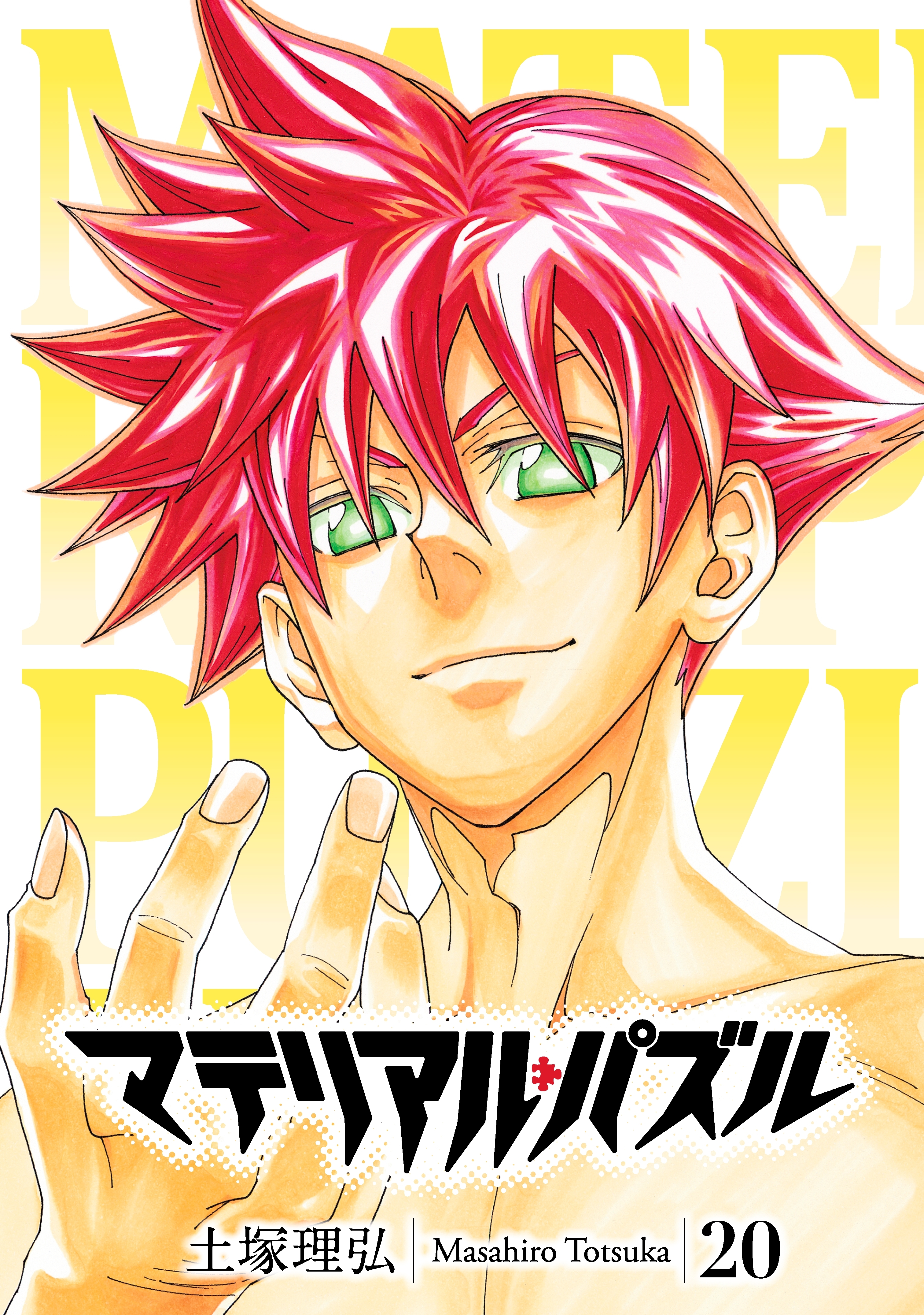 マテリアル・パズル（20）