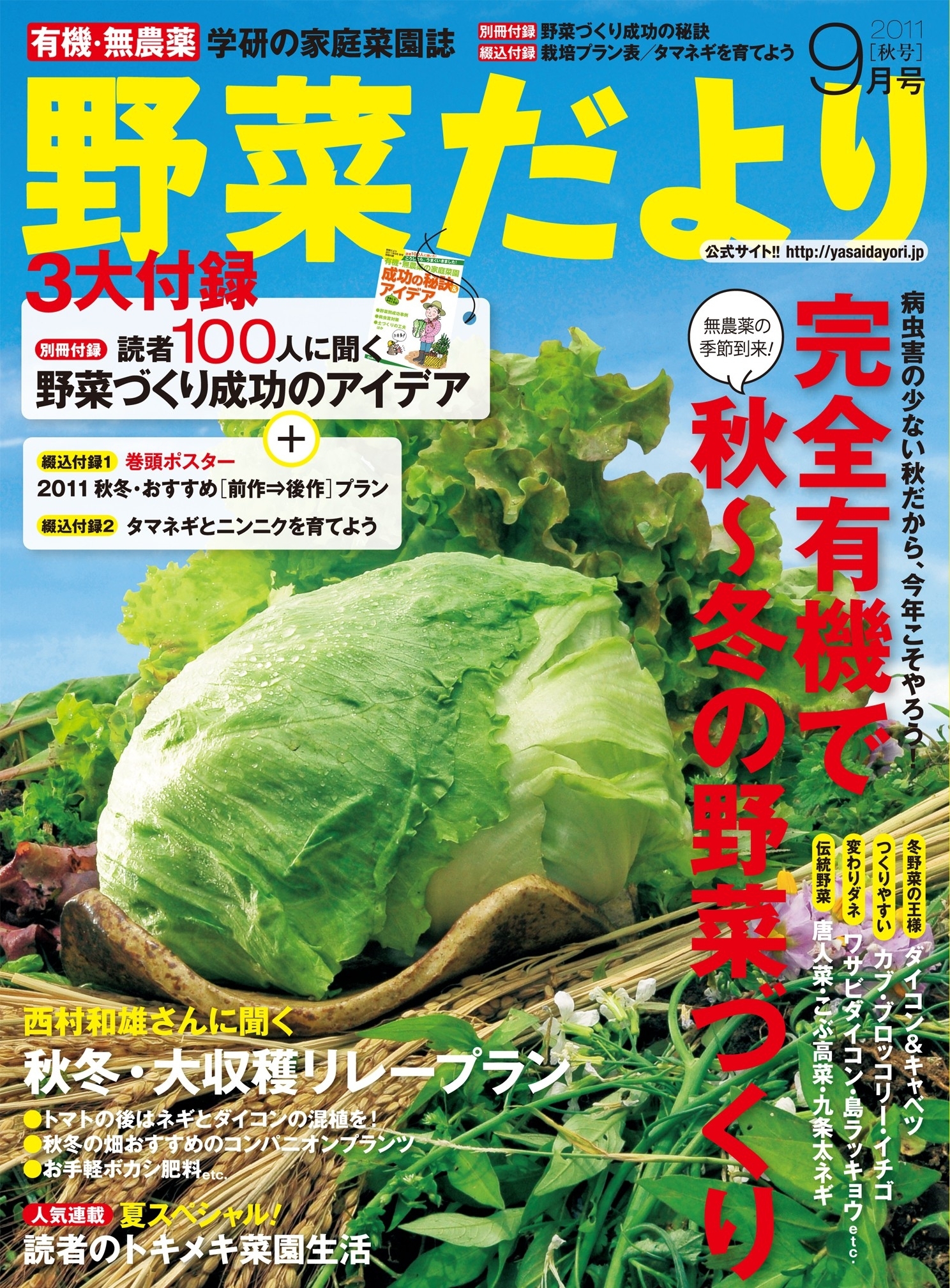 野菜だより2011年9月号