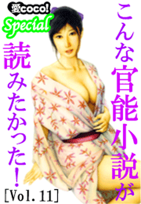 こんな官能小説が読みたかった！vol.11