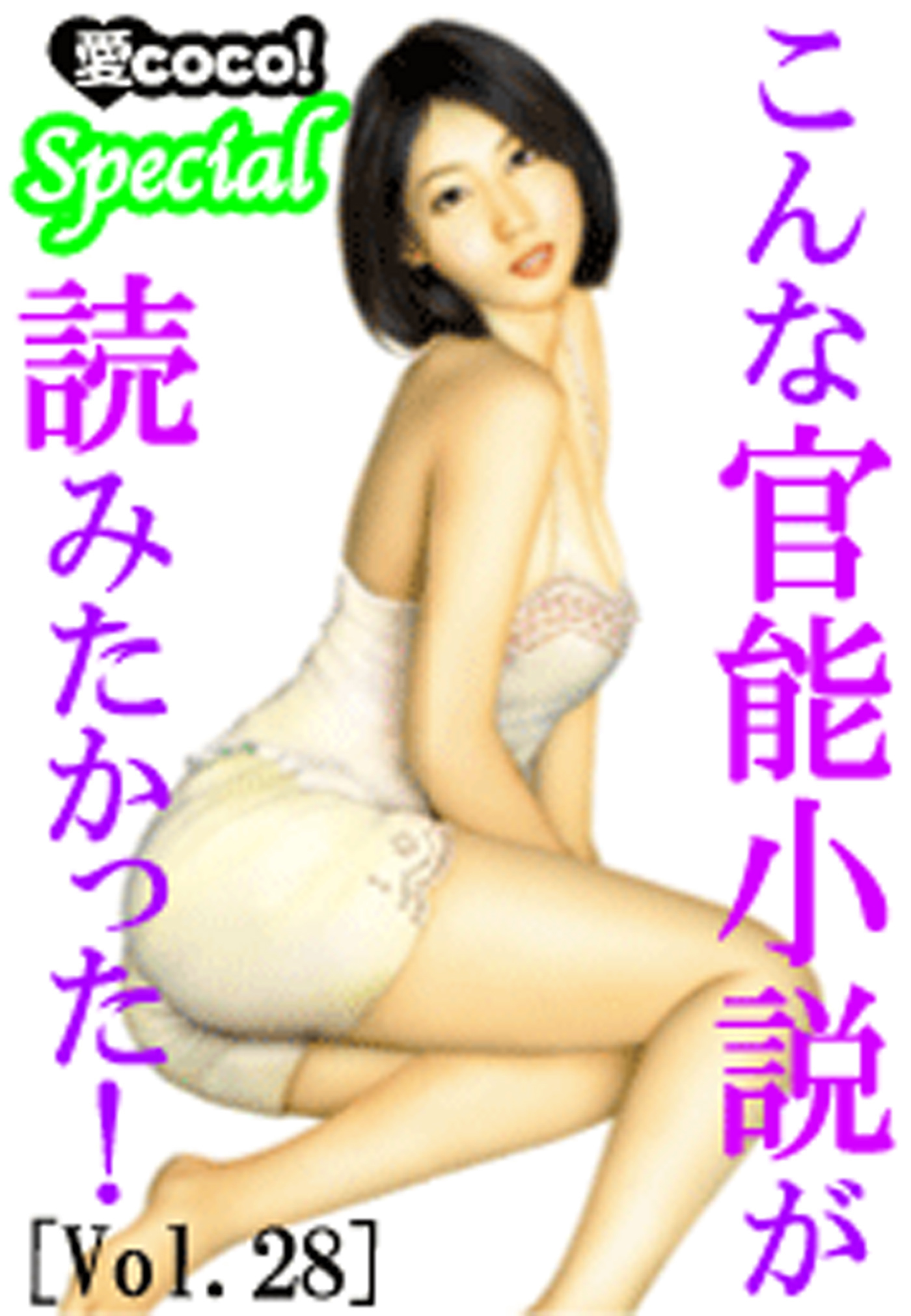 こんな官能小説が読みたかった！vol.28