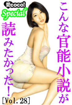 こんな官能小説が読みたかった!vol.28