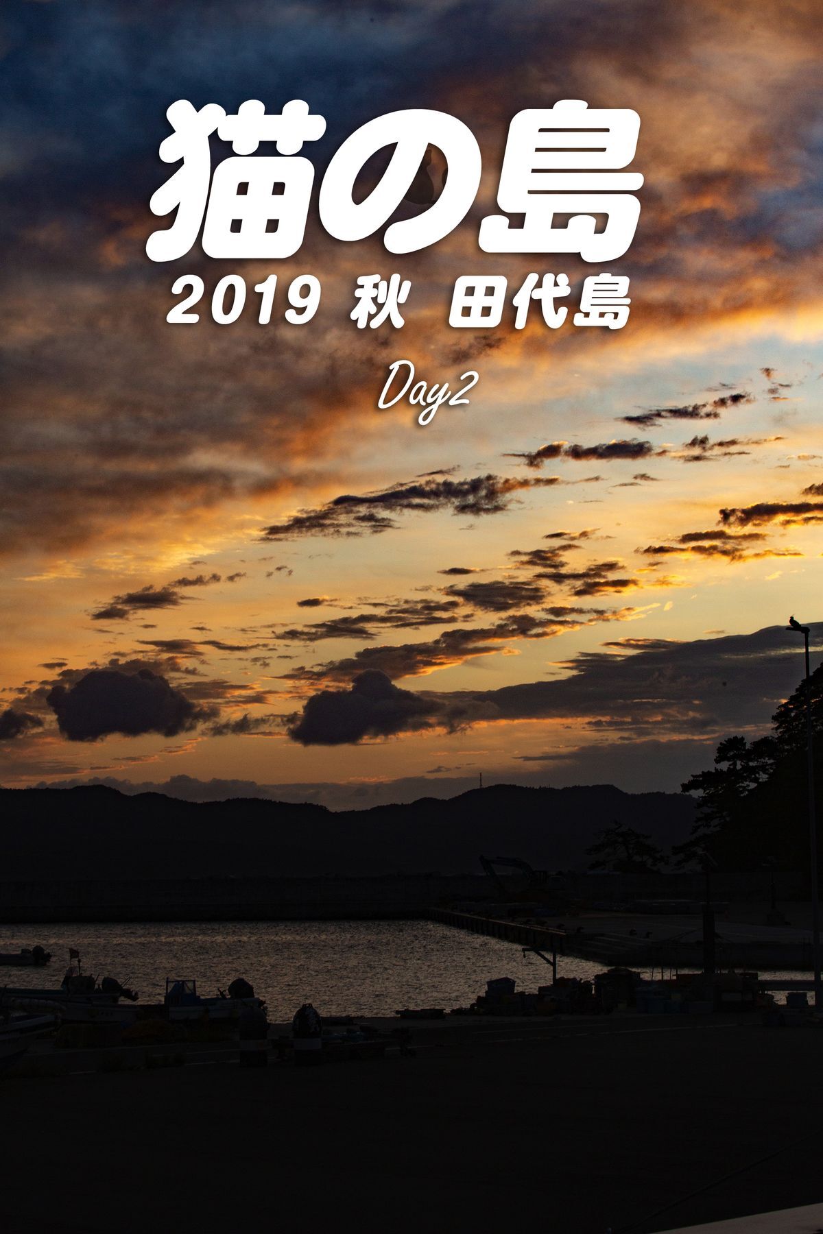 猫の島 2019秋 田代島 Day2