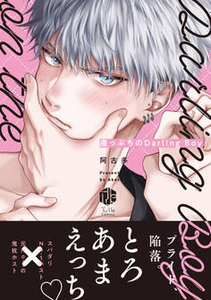【期間限定 試し読み増量版 閲覧期限2026年9月23日】崖っぷちのDarling Boy【電子限定漫画付き】