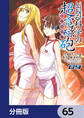 とある魔術の禁書目録外伝 とある科学の超電磁砲【分冊版】 65
