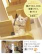 猫がうれしくなる部屋づくり、家づくり