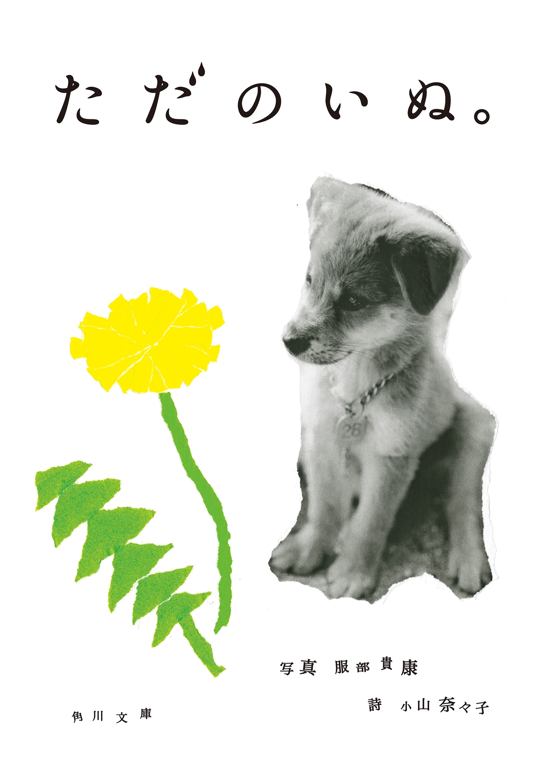 ただのいぬ。