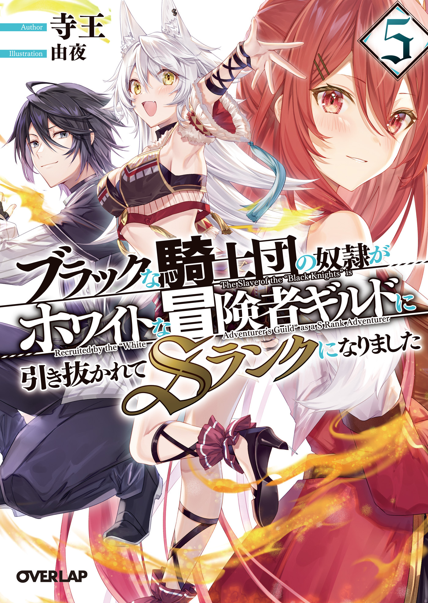 ブラックな騎士団の奴隷がホワイトな冒険者ギルドに引き抜かれてSランクになりました 5