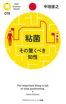 粘菌 その驚くべき知性