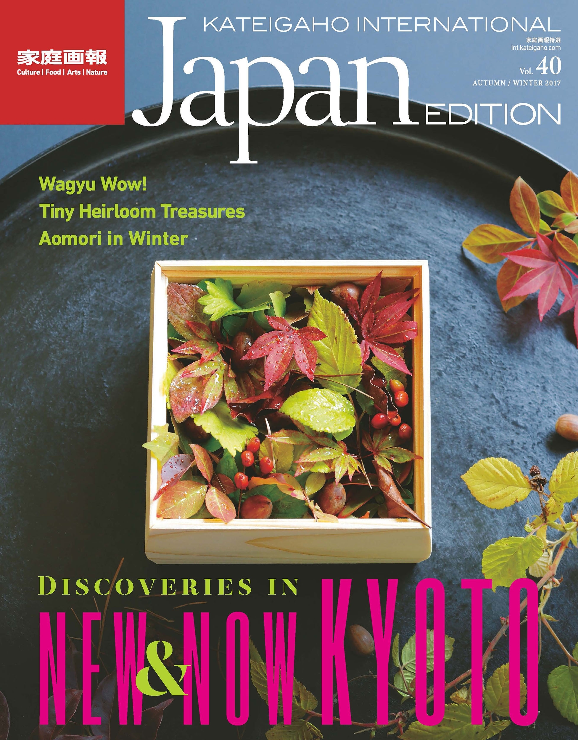 KATEIGAHO INTERNATIONAL JAPAN EDITION AUTUMN / WINTER 2017