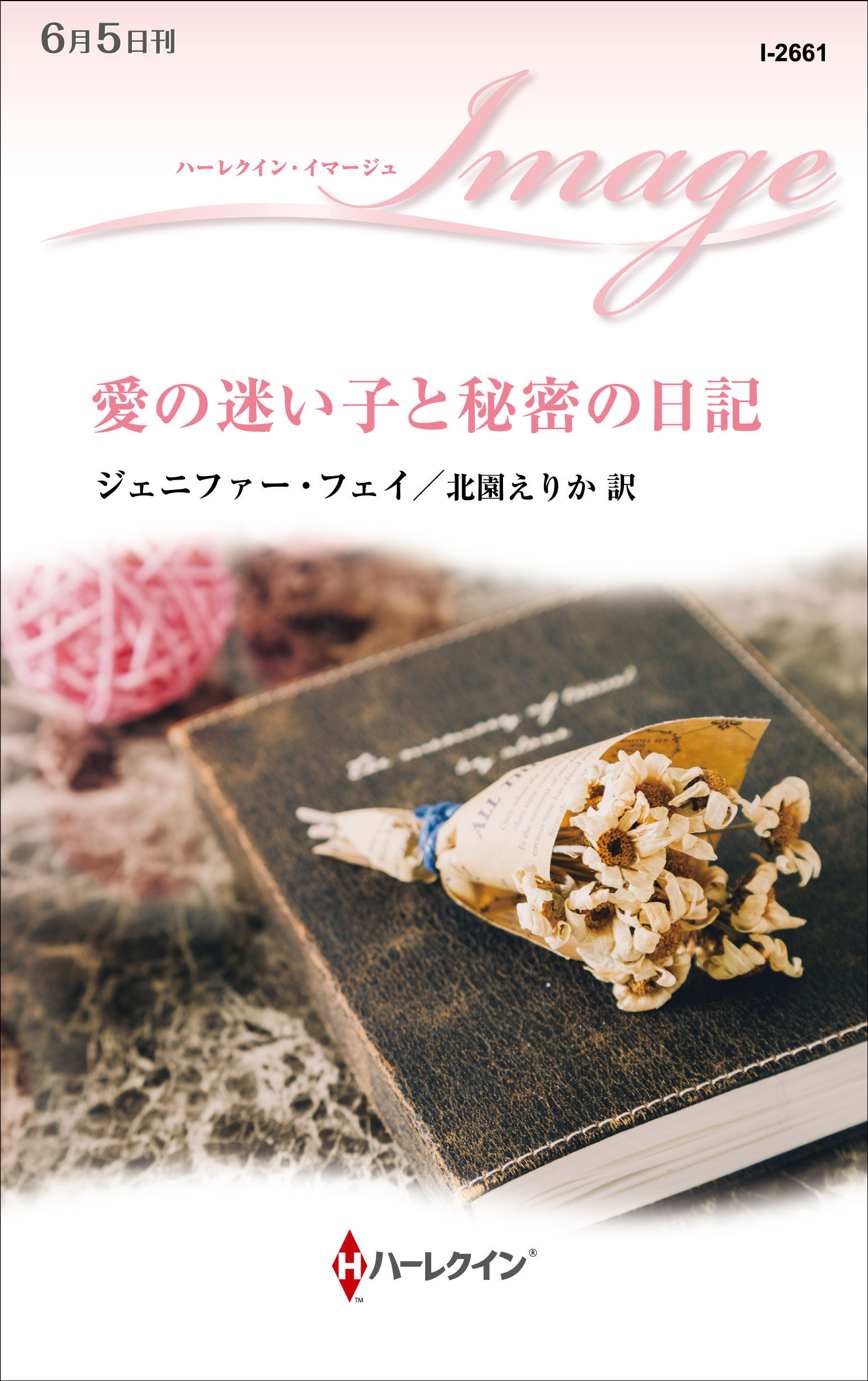 愛の迷い子と秘密の日記
