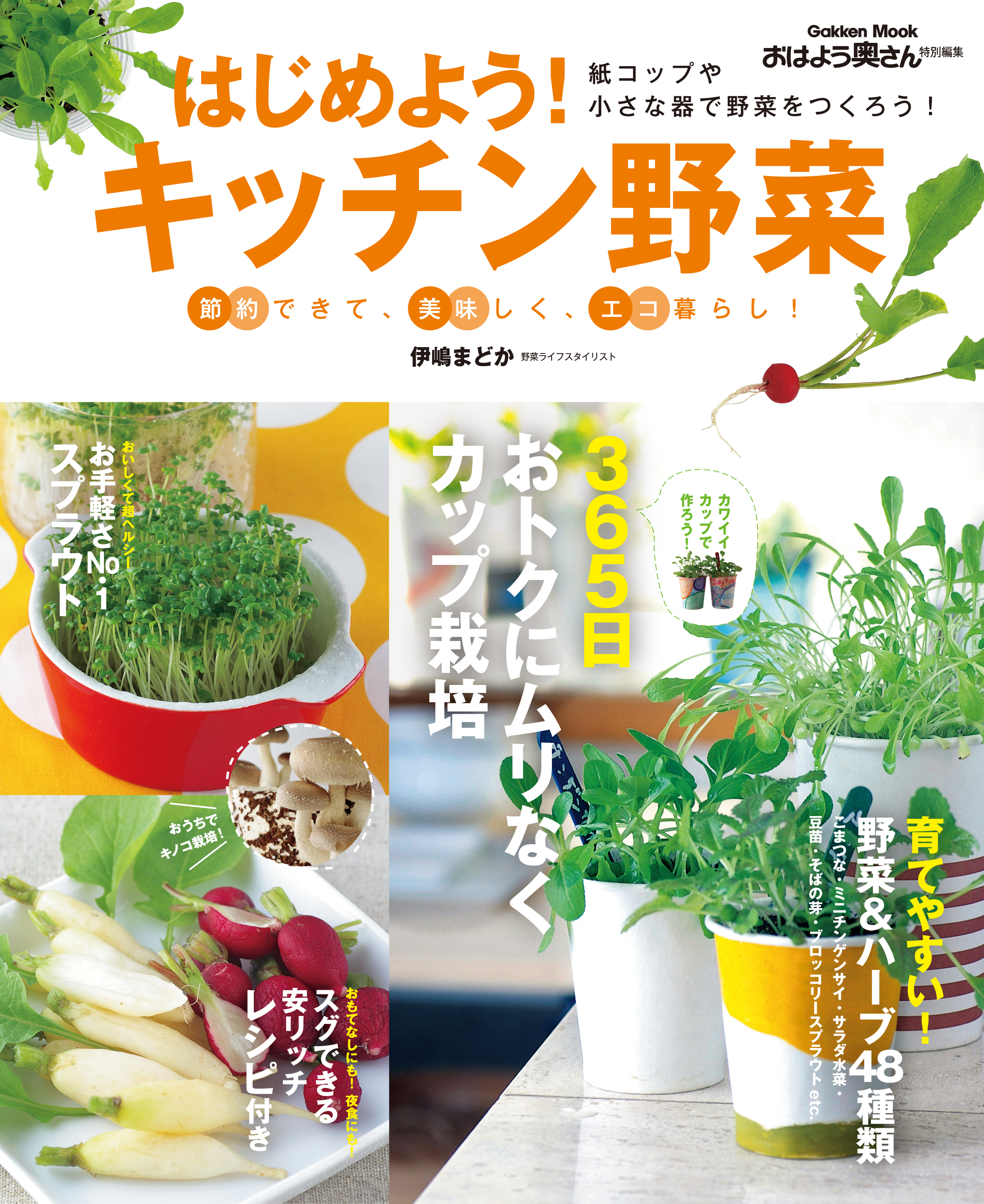 はじめよう！キッチン野菜