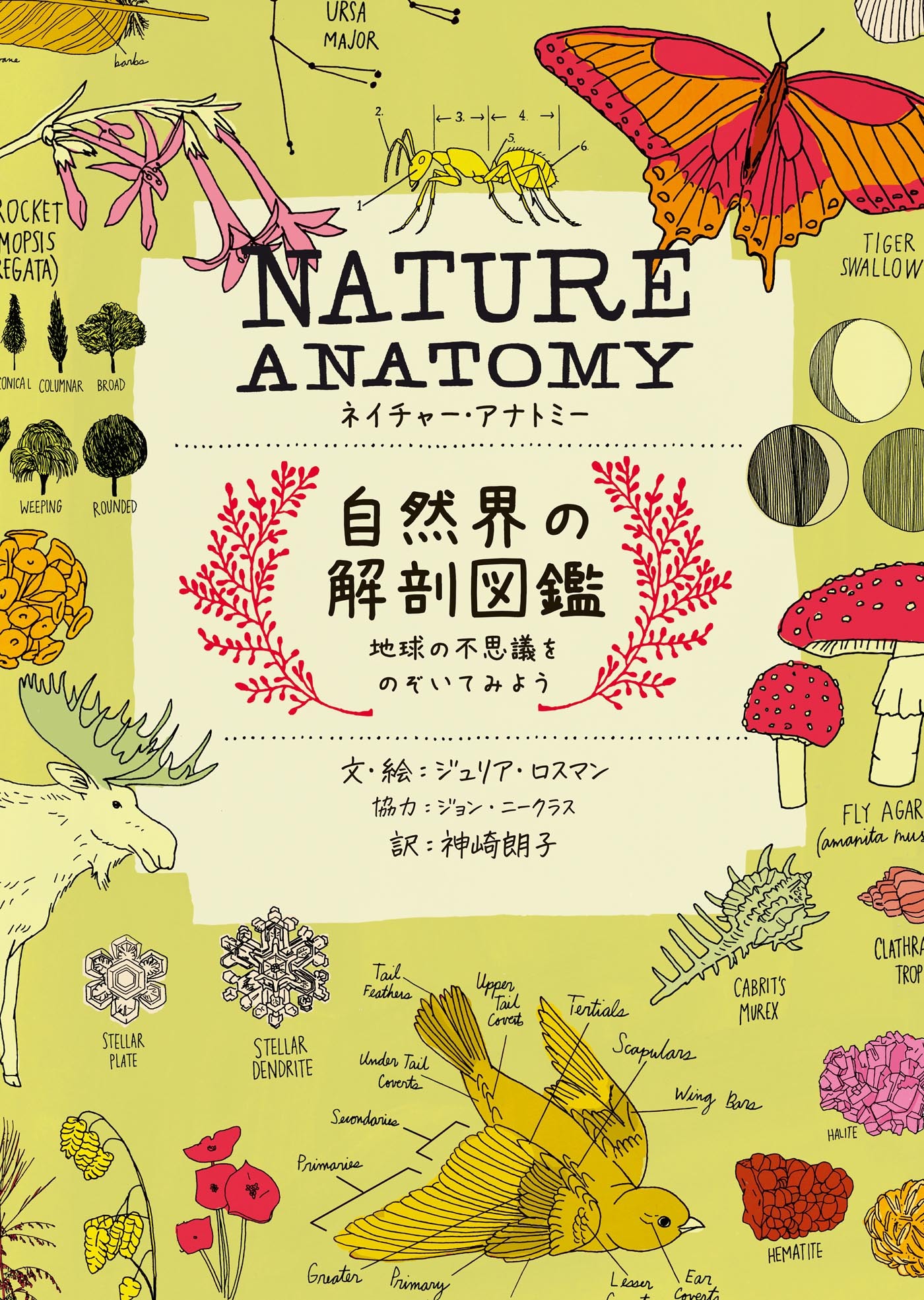 NATURE ANATOMY (ネイチャー・アナトミー)自然界の解剖図鑑～地球の不思議をのぞいてみよう