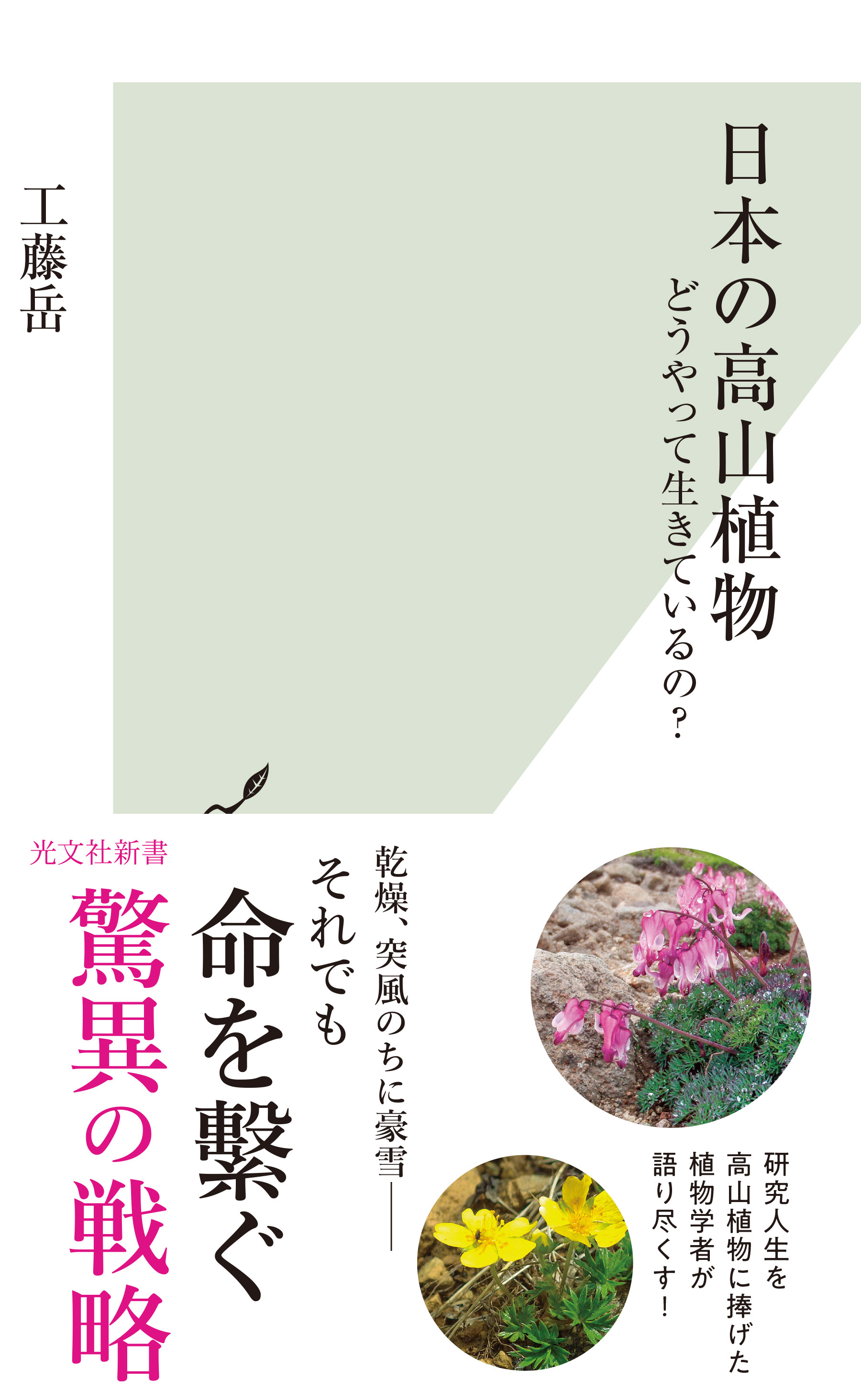 日本の高山植物～どうやって生きているの？～