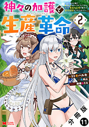 神々の加護で生産革命～異世界の片隅でまったりスローライフしてたら、なぜか多彩な人材が集まって最強国家ができてました～(コミック) 分冊版 ： 11