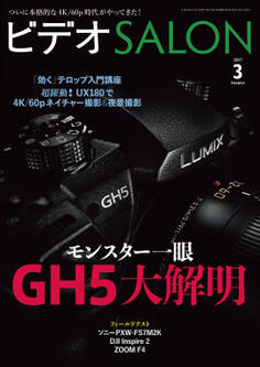 ビデオ SALON (サロン) 2017年 3月号
