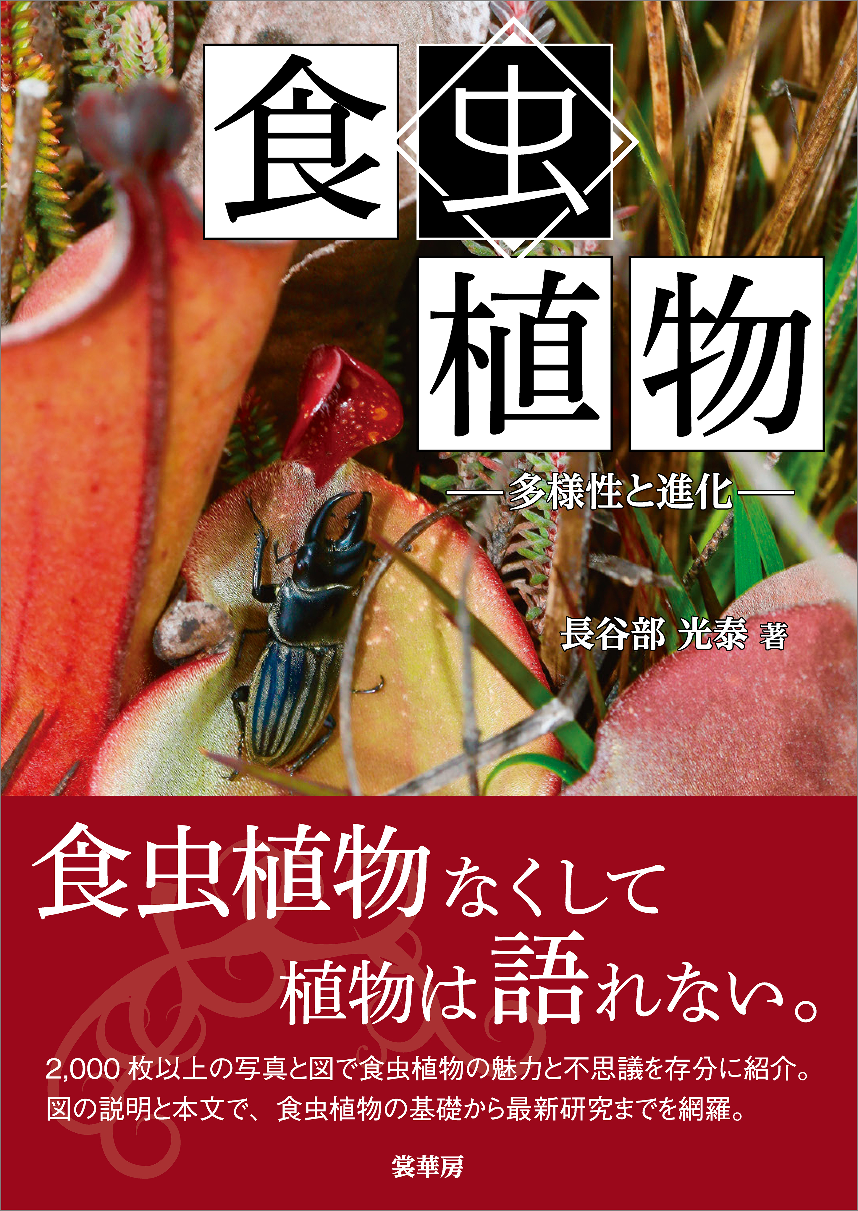 食虫植物