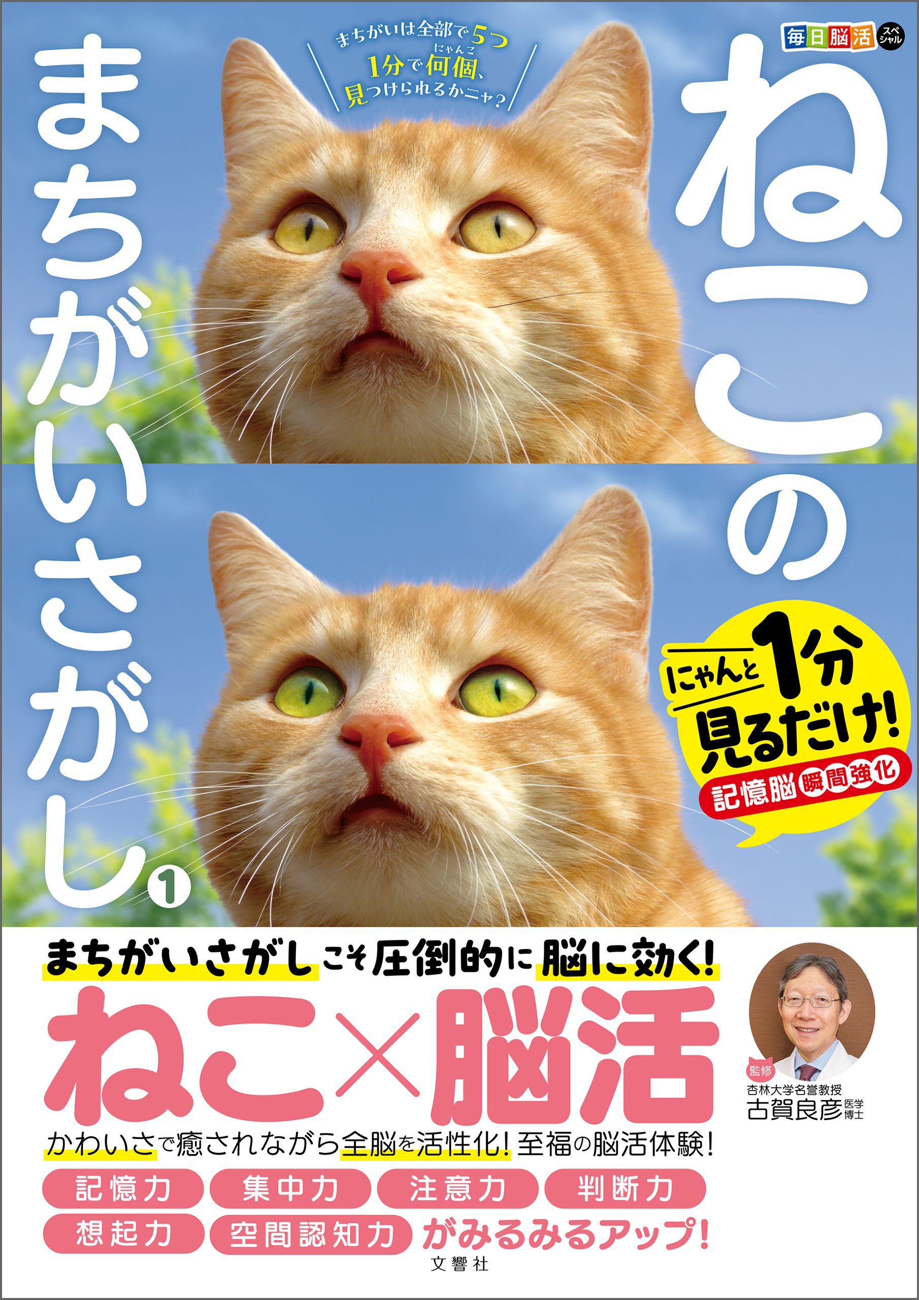 毎日脳活スペシャル　ねこのまちがいさがし