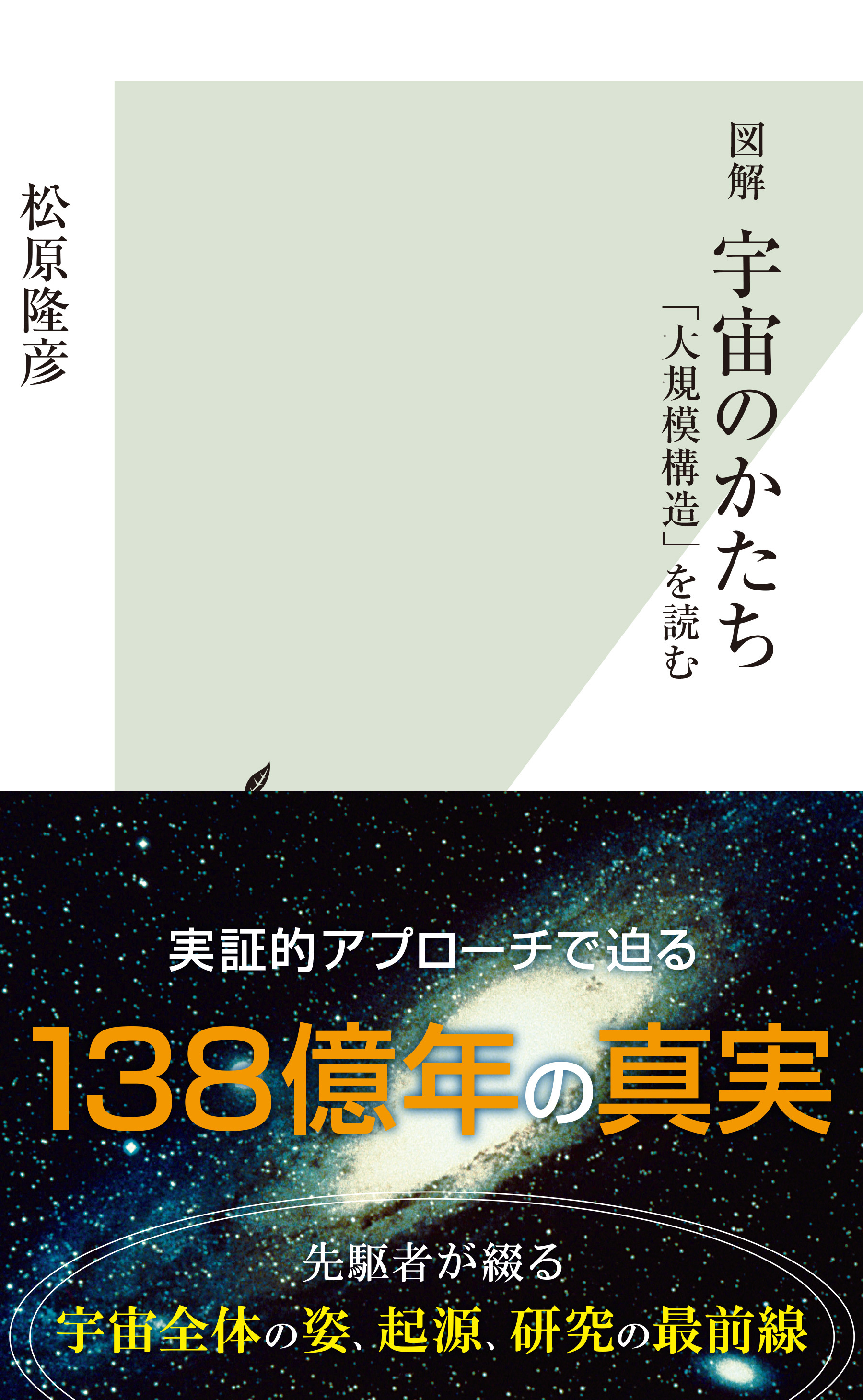 図解　宇宙のかたち～「大規模構造」を読む～