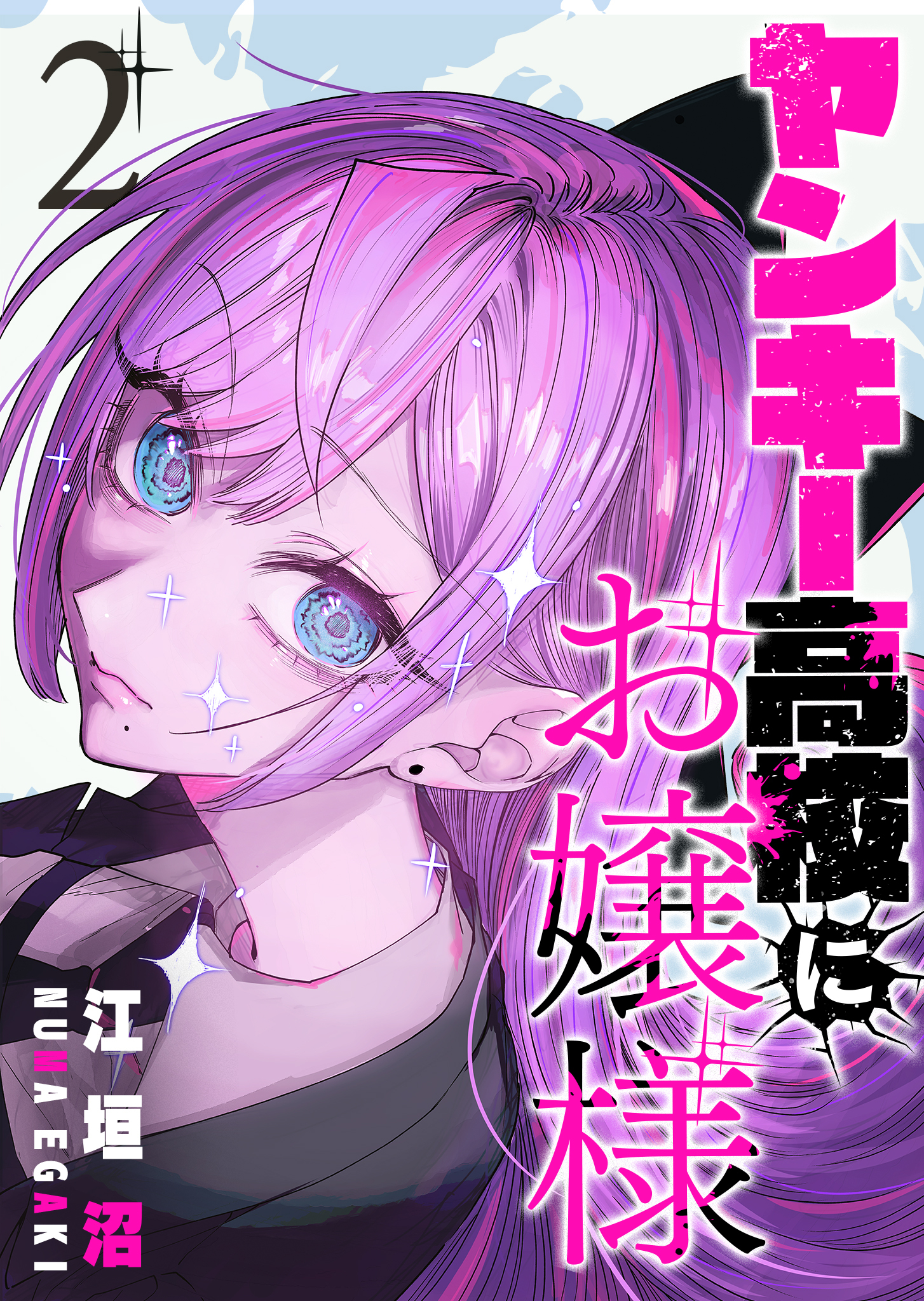 ヤンキー高校にお嬢様