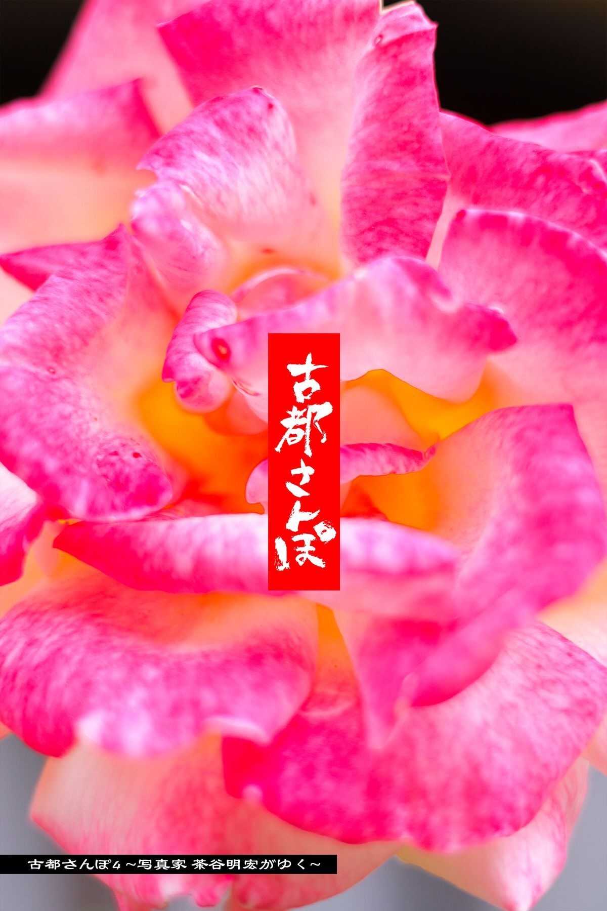 古都さんぽ4 ～写真家 茶谷明宏がゆく～