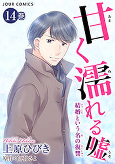 甘く濡れる嘘~結婚という名の復讐~ : 14