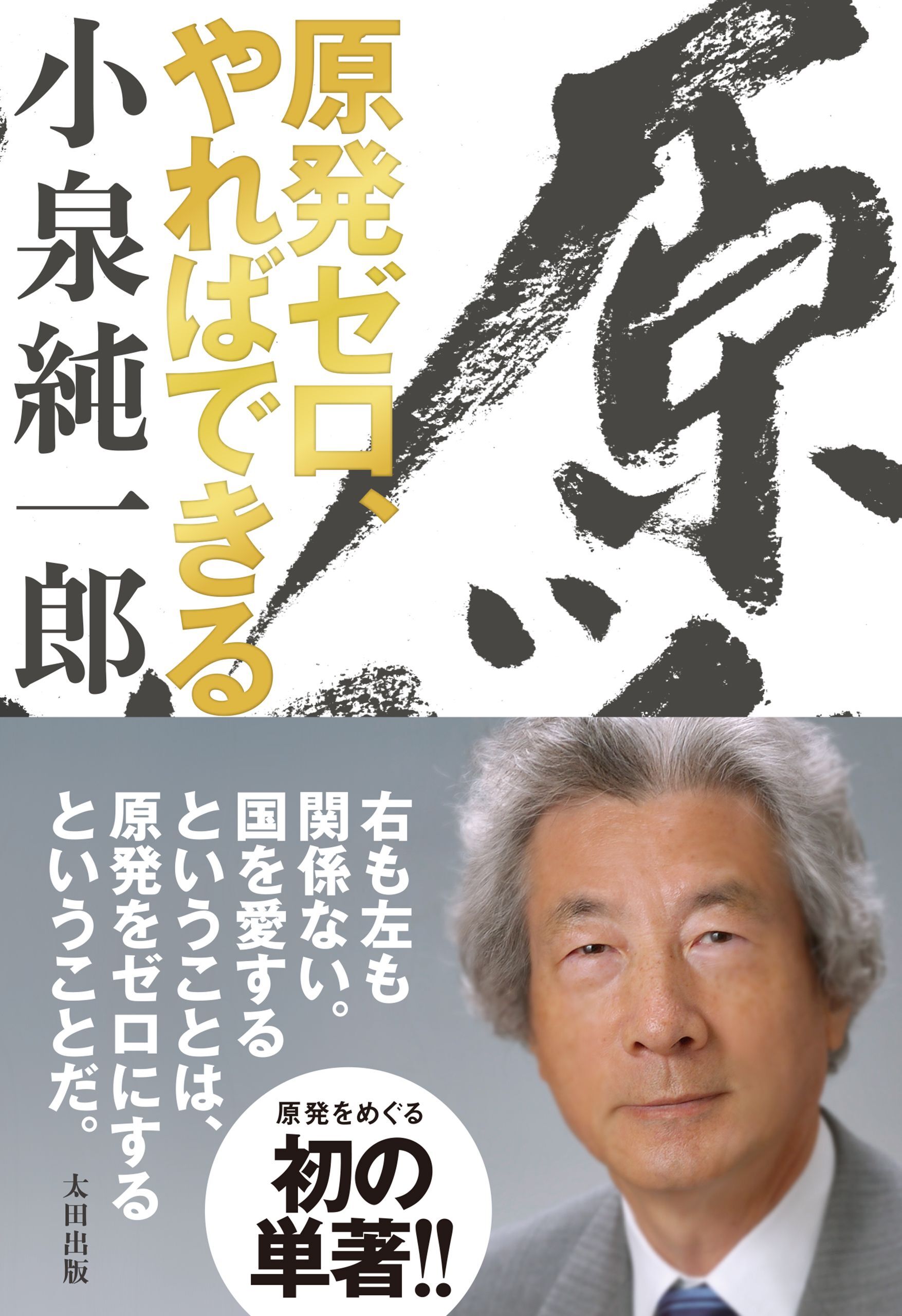 原発ゼロ、やればできる