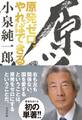 原発ゼロ、やればできる