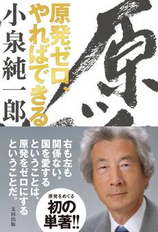 原発ゼロ、やればできる