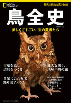 鳥全史 美しくて凄い、空の覇者たち