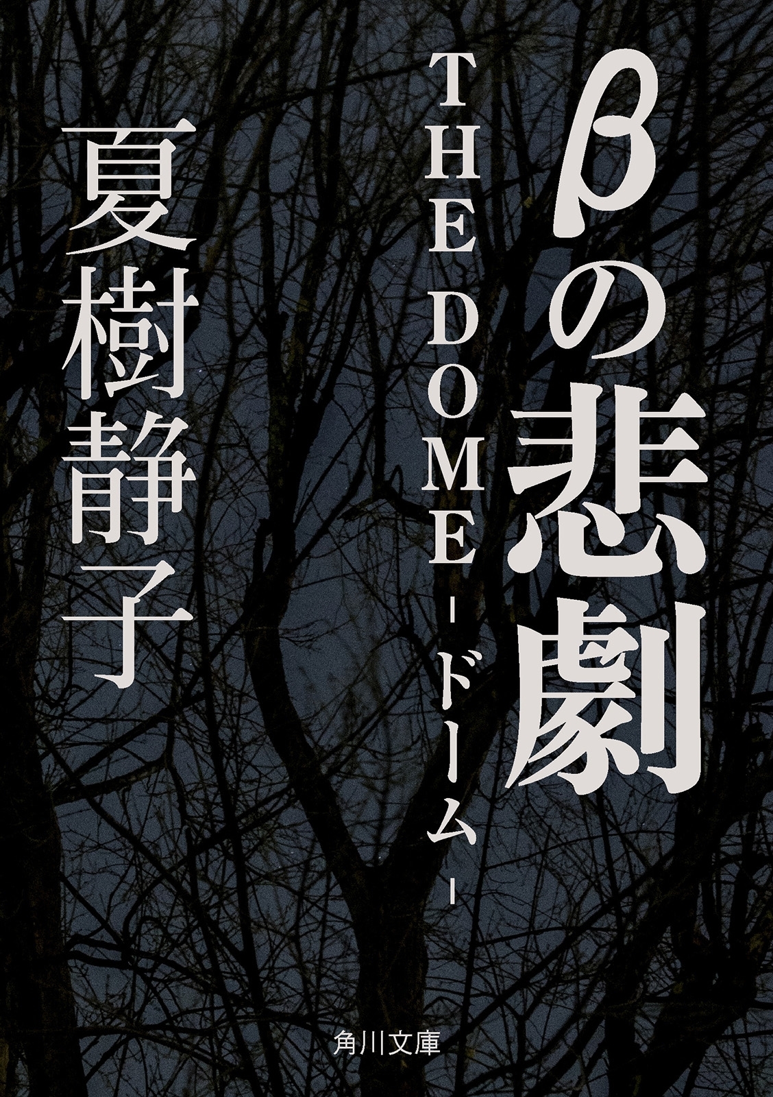 ドーム