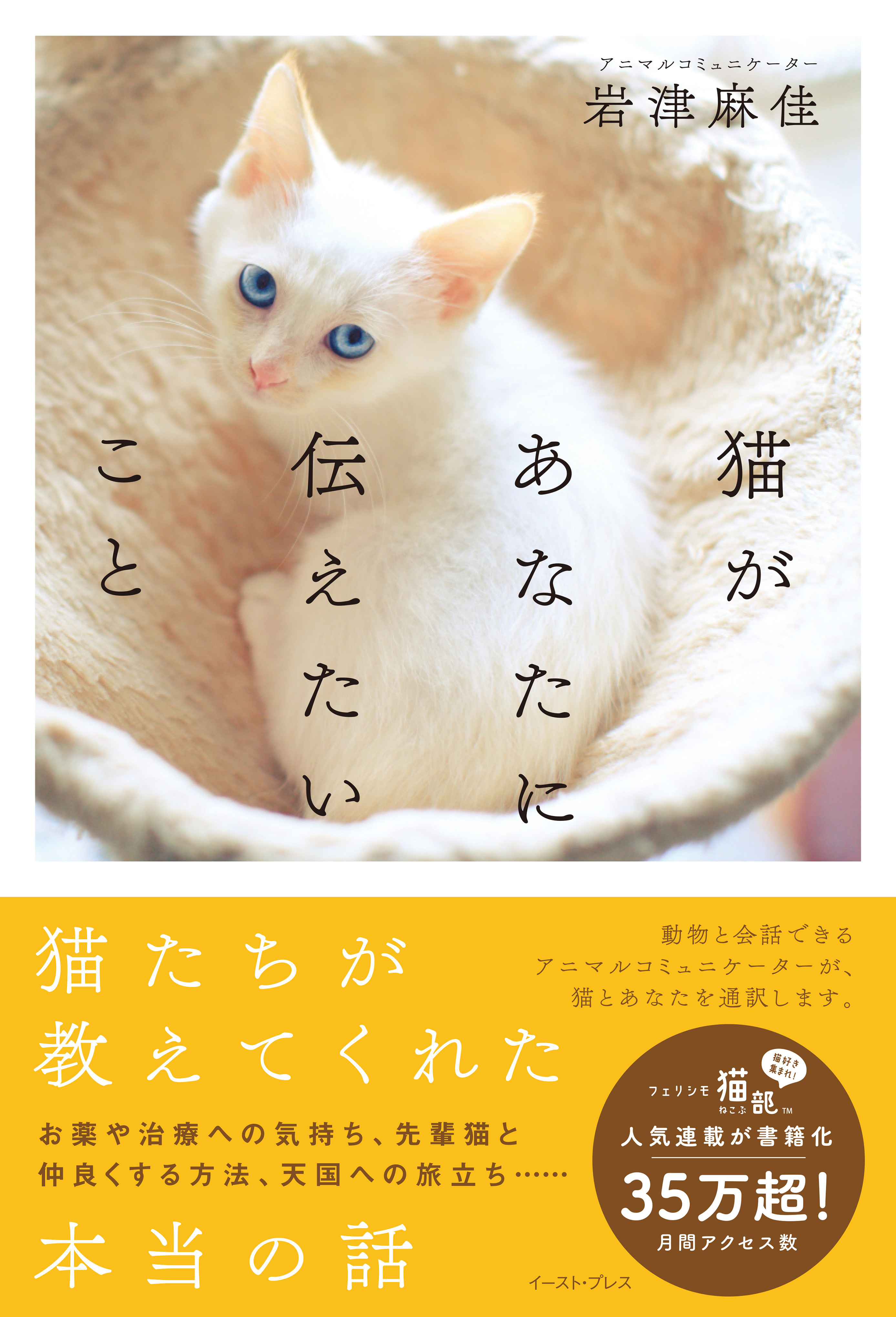 猫があなたに伝えたいこと