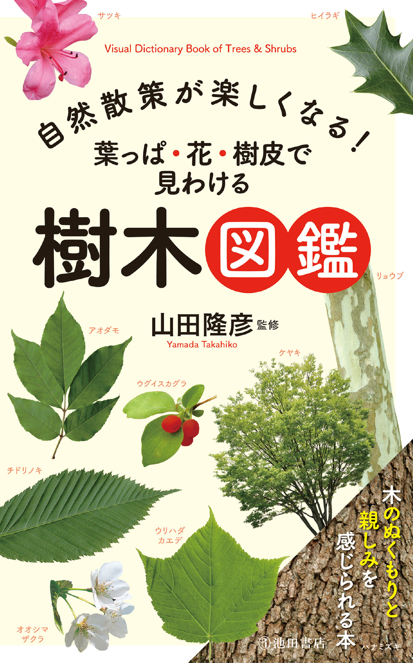 自然散策が楽しくなる！ 葉っぱ・花・樹皮で見わける 樹木図鑑（池田書店）