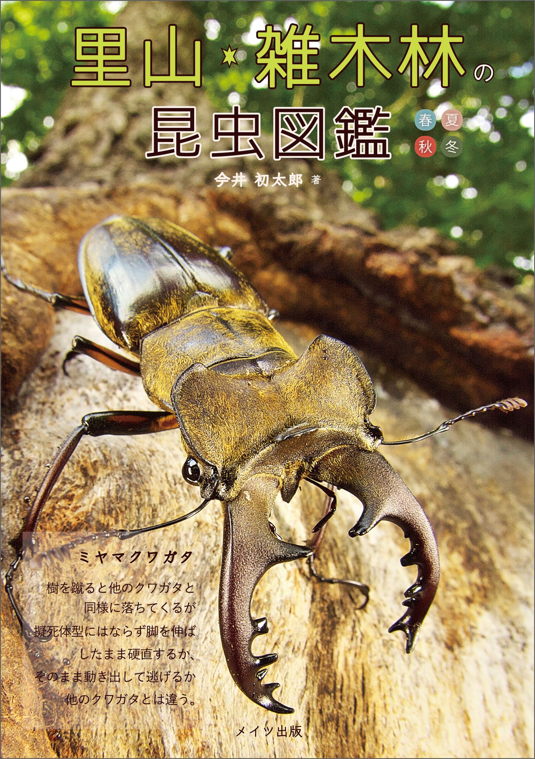 里山・雑木林の昆虫図鑑