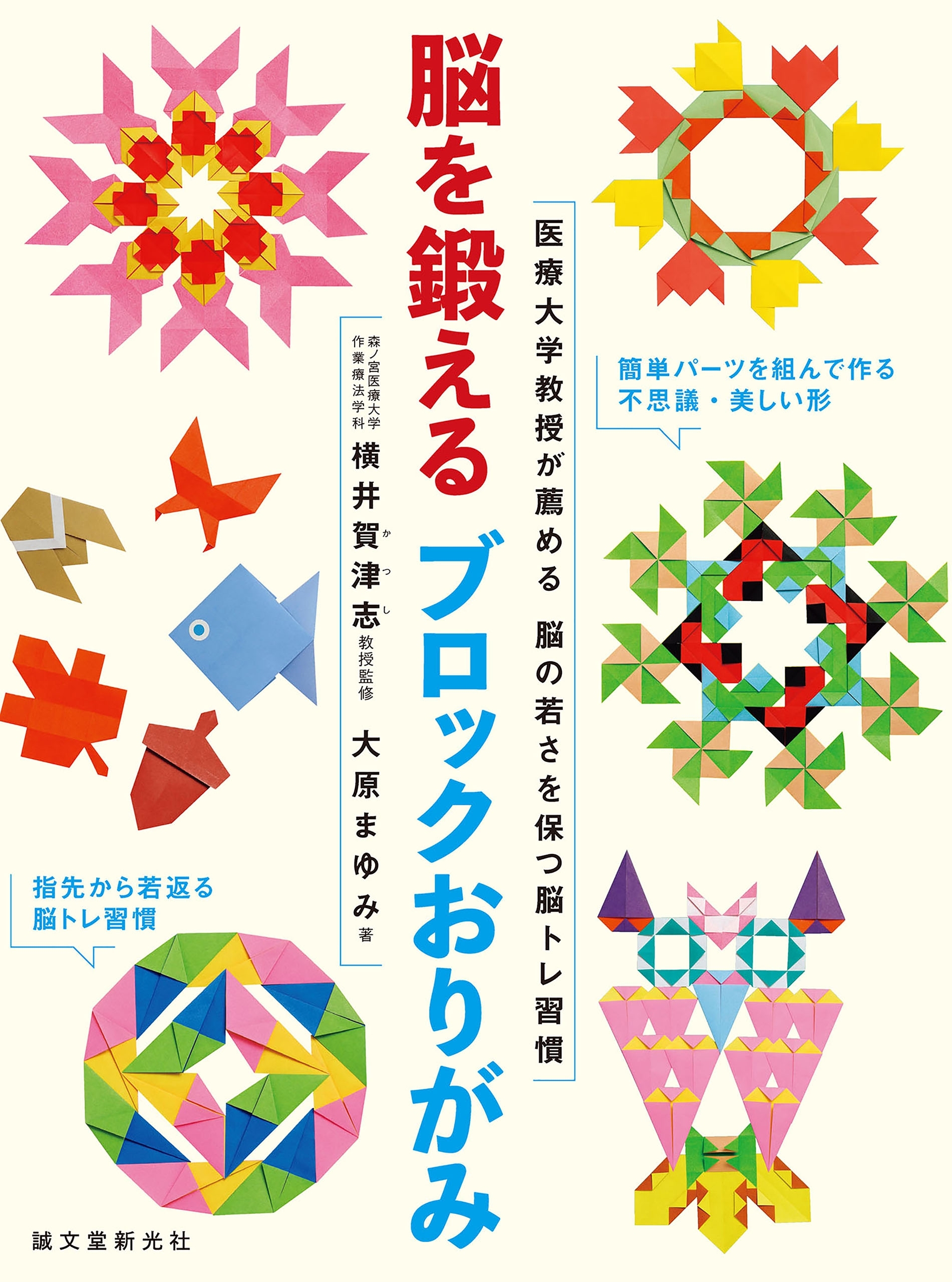 脳を鍛えるブロックおりがみ