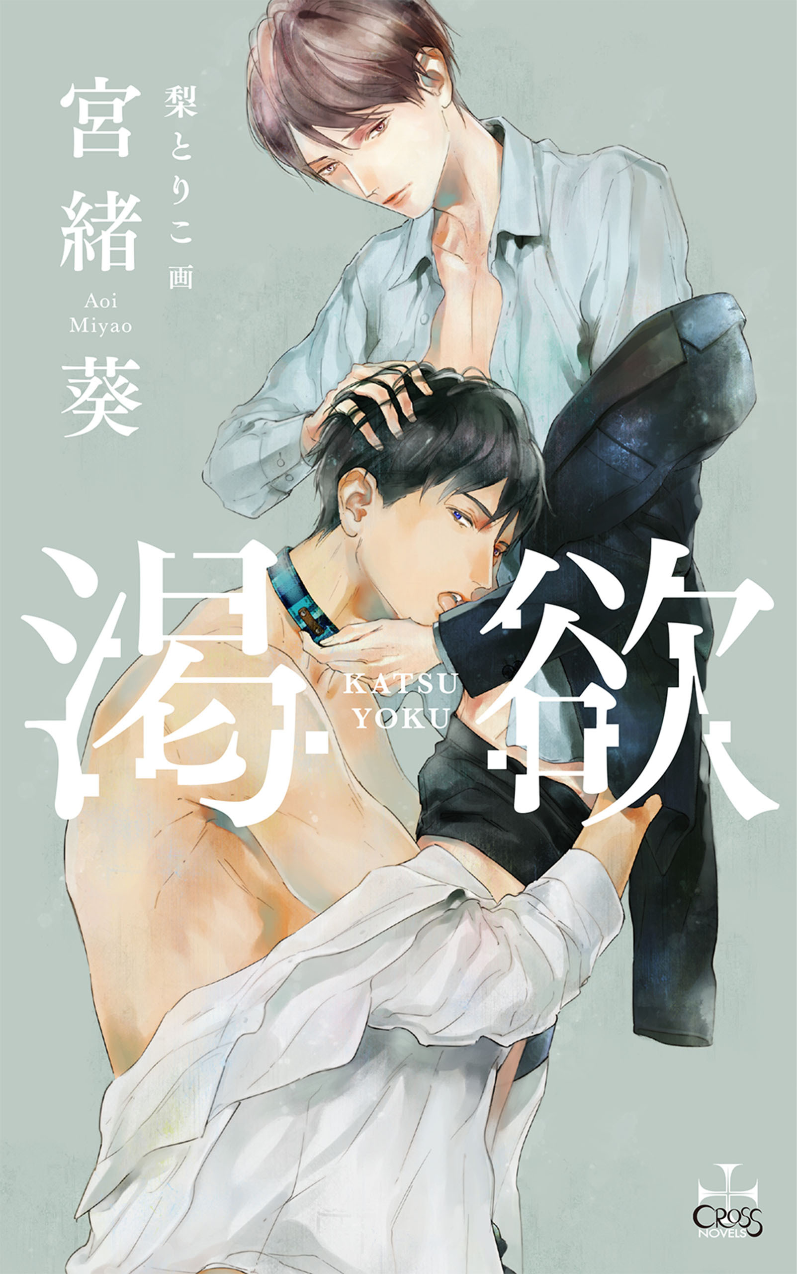 渇仰