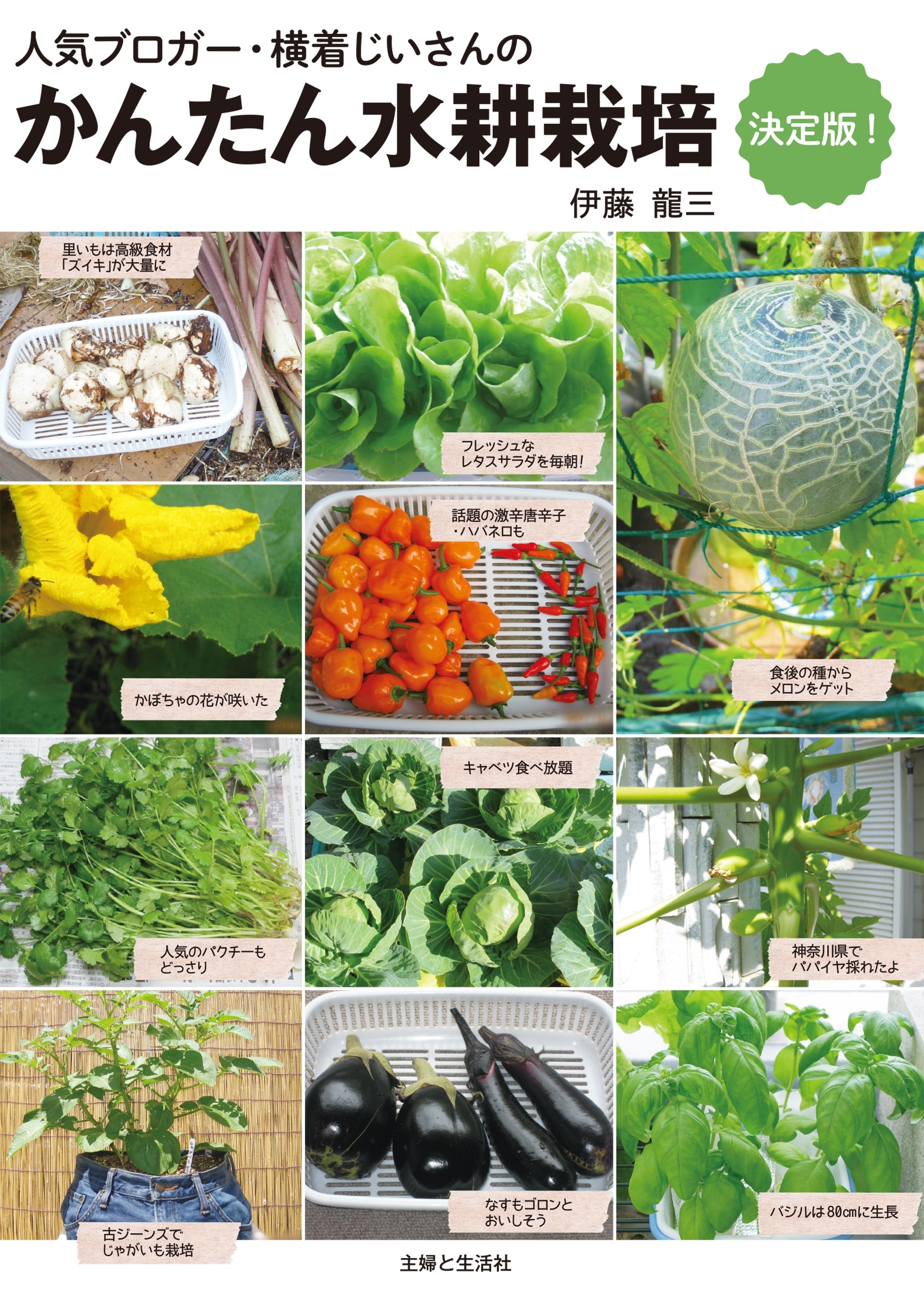 かんたん水耕栽培 決定版！