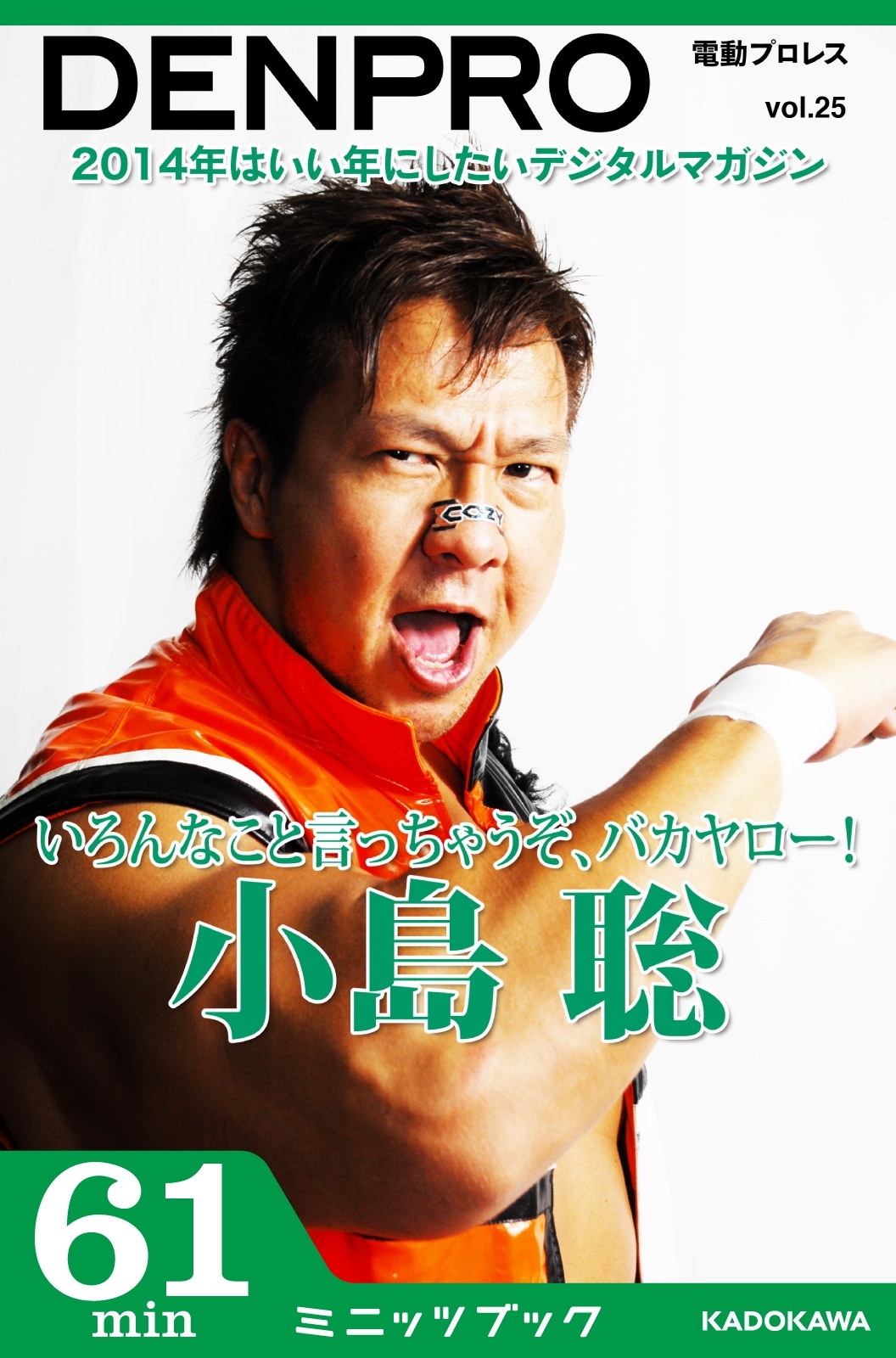 電動プロレス vol.25