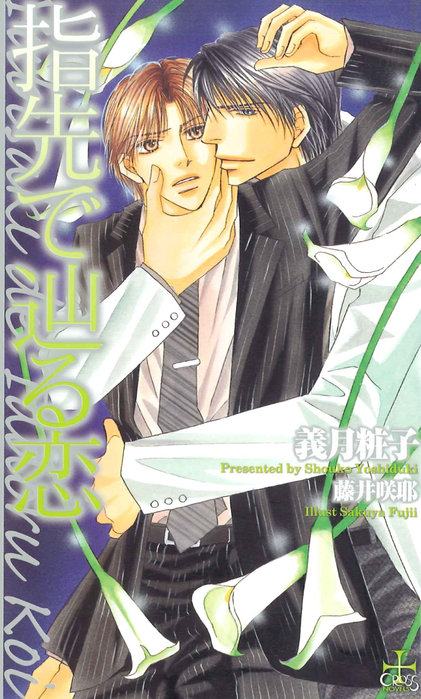 指先で辿る恋【特別版】