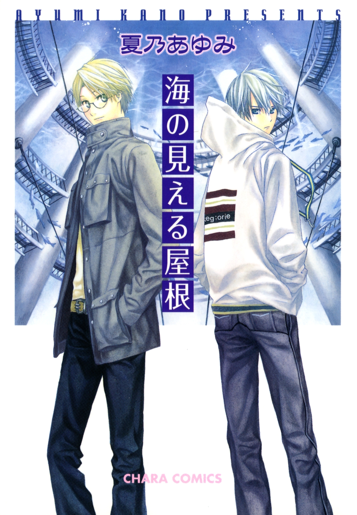 海の見える屋根