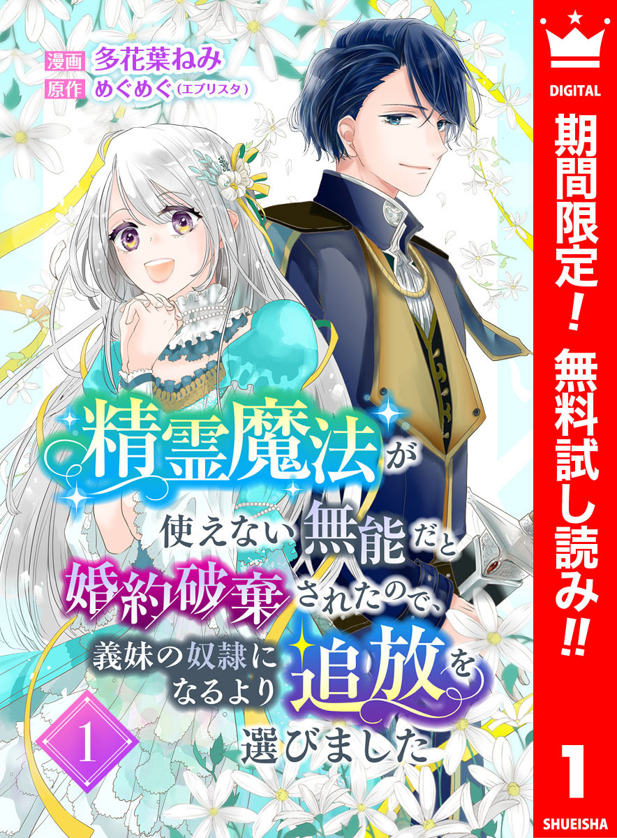 精霊魔法が使えない無能だと婚約破棄されたので、義妹の奴隷になるより追放を選びました