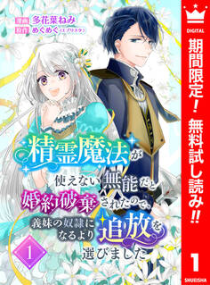 精霊魔法が使えない無能だと婚約破棄されたので、義妹の奴隷になるより追放を選びました【期間限定無料】 1